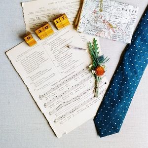 Lord & Lady Co Indigo Pin Dot Skinny Tie